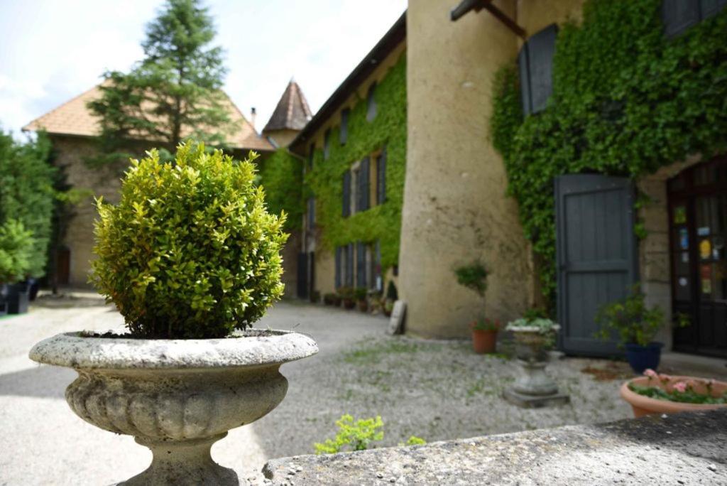 Chateau De Passieres Chichilianne ภายนอก รูปภาพ